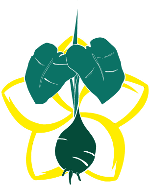 Touch Kauai - Cultural Connection