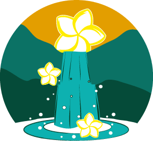 Touch Kauai - Nature Experiences